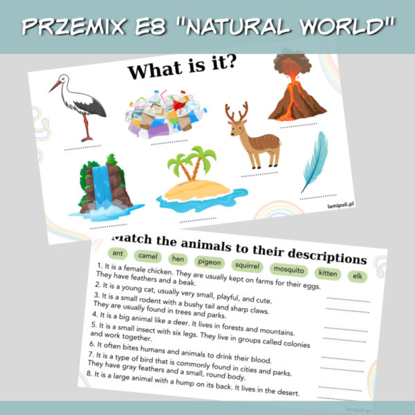 PrzeMIX E8 Natural world online